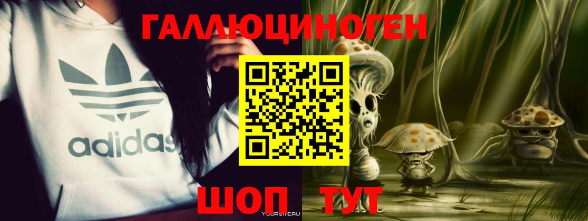 Владимир  Псилоцибиновые грибы Psilocybe  Вход с VPN 